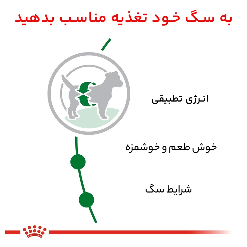 غذای خشک گربه رویال کنین مدل سگ بالغ وزن 2 کیلوگرم