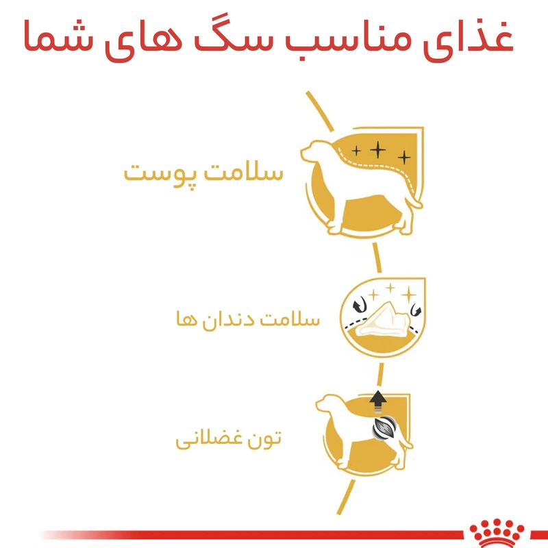 غذای خشک سگ رویال کنین مدل Poodle Adult وزن 3 کیلوگرم