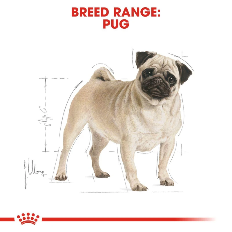 غذای خشک سگ رویال کنین مدل Pug Adult وزن 1.5 کیلوگرم